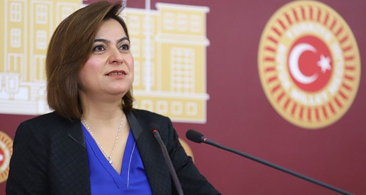DEM Parti Grup Başkanvekili ve Kars Milletvekili Gülüstan Kılıç Koçyiğit, TBMM Başkanlığına bir soru önergesi sundu