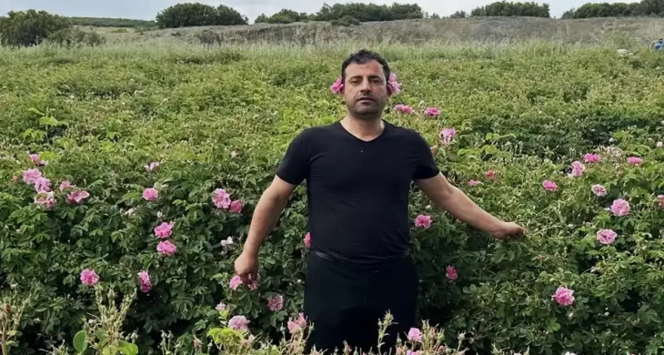 Gülün başkentinde hasat coşkusu: Isparta’da gül sezonu başladı