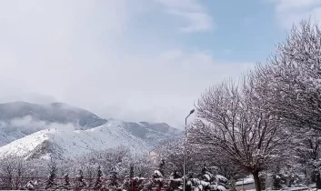 Gümüşhane’de nisan sürprizi: Kış geri döndü, ağaçlar risk altında