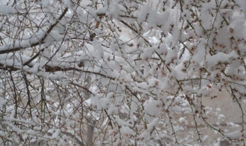 Güzelyurt Beyaza Büründü