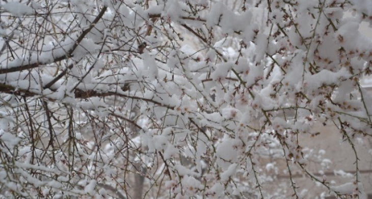 Güzelyurt Beyaza Büründü