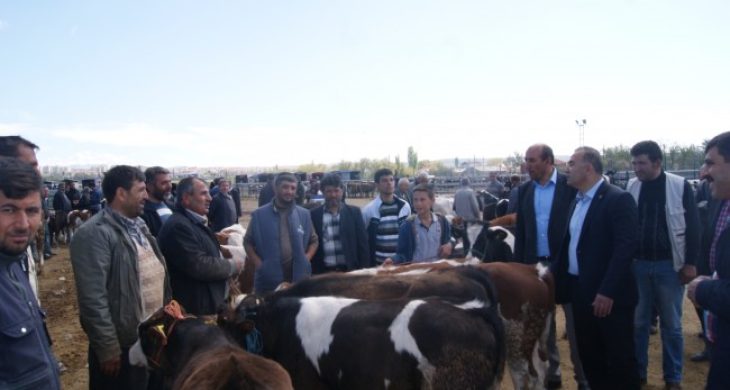 Aksaray’da hayvancılık desteği 32 kat arttı