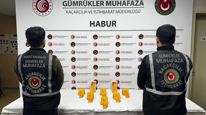 Habur Gümrük Kapısı’nda 41 kilogram altın ele geçirildi