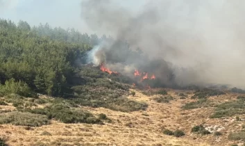 Tekirdağ’dan Çanakkale’ye sıçrayan orman yangınıyla mücadele