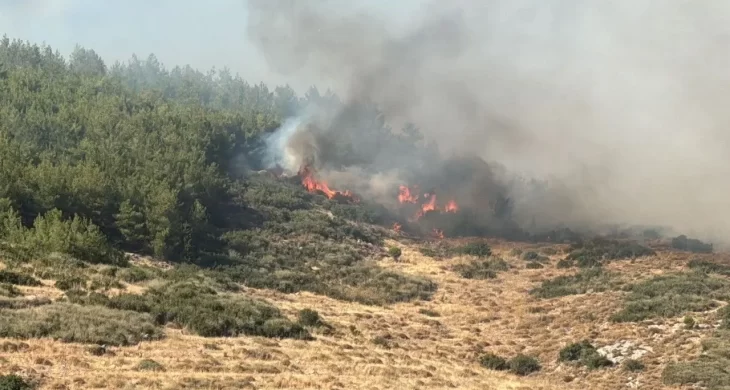 Tekirdağ’dan Çanakkale’ye sıçrayan orman yangınıyla mücadele