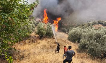 Orman gönüllülerine şehit statüsü getirildi