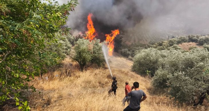 Orman gönüllülerine şehit statüsü getirildi
