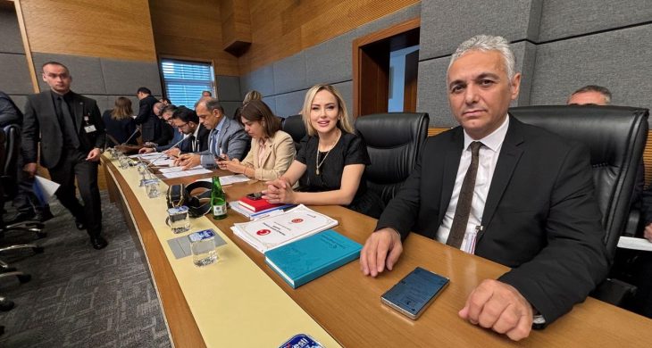 Hekimsen’in mücadelesi sonuç verdi: “Sigma Formüllü Yönetmelik” Anayasa Mahkemesi’nde