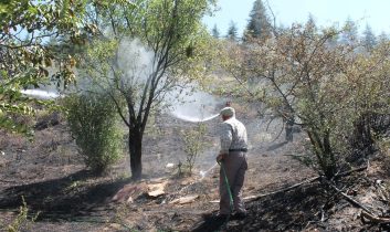 Afyonkarahisar Çay’da çıkan yangın söndürüldü
