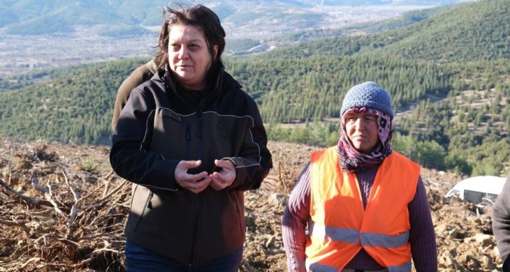 Ağlasun’da endüstriyel ağaçlandırma ile yeşil vatan güçleniyor