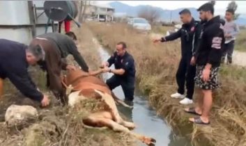 Serik’te itfaiyeden hayat kurtaran müdahale