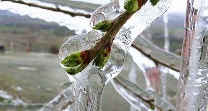 Antalya’da yayla dondu