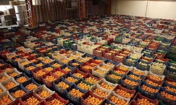 Antalya ihracatının yüzde 57’si tarımdan