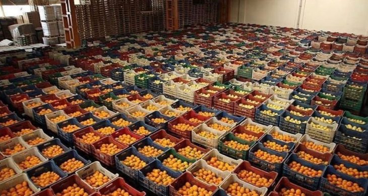 Antalya ihracatının yüzde 57’si tarımdan