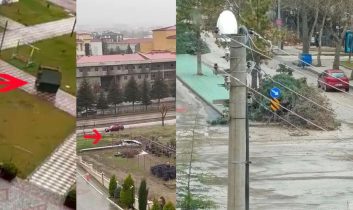 Şiddetli rüzgarda ağaçlar devrildi kamelyalar uçtu