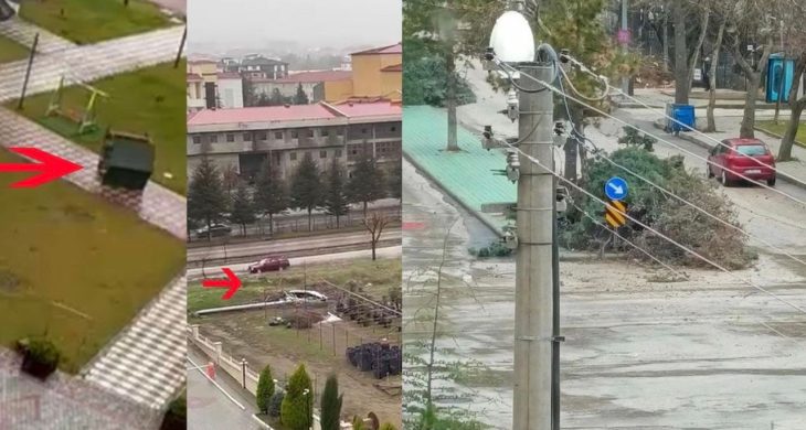 Şiddetli rüzgarda ağaçlar devrildi kamelyalar uçtu