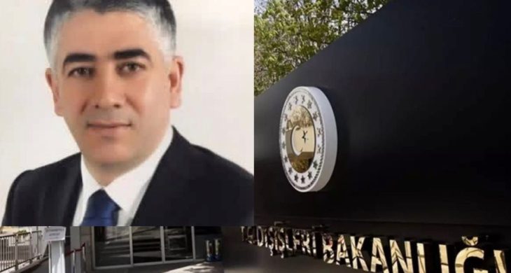 Hacı Ali Özel, Dışişleri bakan yardımcılığına atandı
