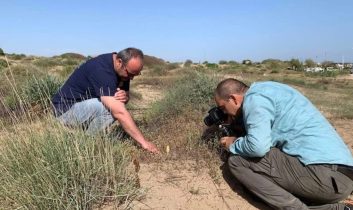 Endemik türü koparmanın cezası 699 bin lirayı aşıyor