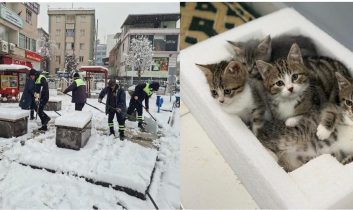 Belediye emekçileri yoğun kar yağışına karşı seferber oldu