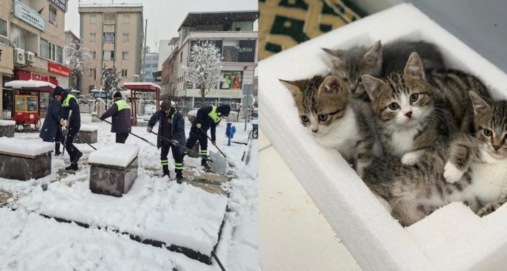 Belediye emekçileri yoğun kar yağışına karşı seferber oldu