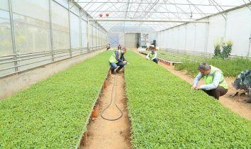 Ordu Büyükşehir desteklerle teşvik etti, vatandaş kendi sebzesini üretti