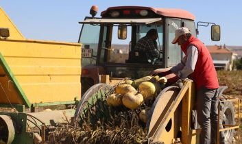 Isparta’da kabak sezonu başladı