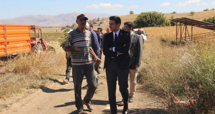 Tefenni ovası’nda mısır hasadı incelemesi