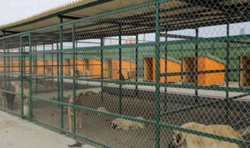 En modern hayvan barınağı Isparta’da