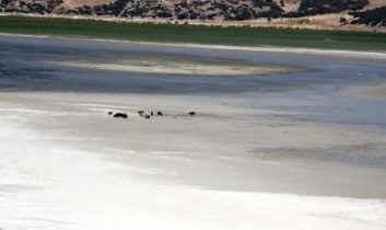 Isparta Eğirdir gölü doğanın insafına kaldı
