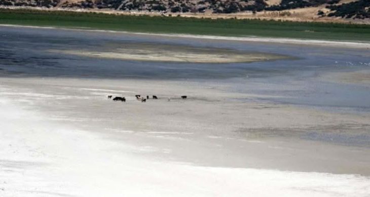 Isparta Eğirdir gölü doğanın insafına kaldı