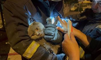 Yangında anne, oğlu ve kedisi yaralandı