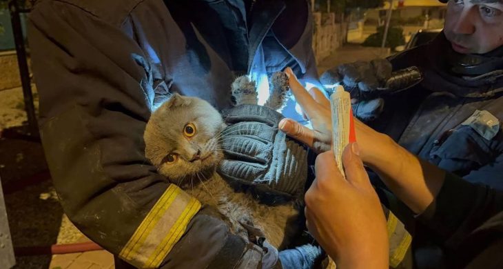 Yangında anne, oğlu ve kedisi yaralandı