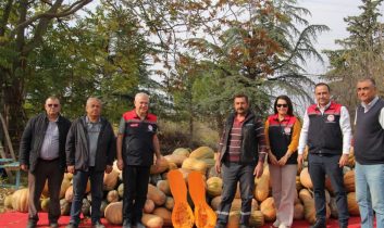 Isparta’da bal kapağı sezonu bereketli başladı