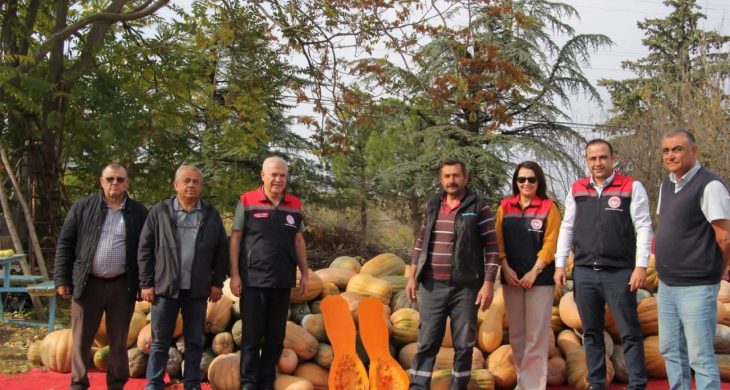 Isparta’da bal kapağı sezonu bereketli başladı