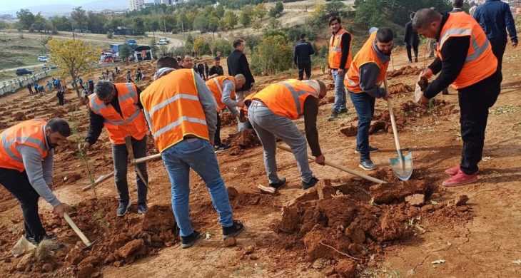 “Her Yalvaçlı için bir fidan” projesinde ilk fidan toprakla buluştu