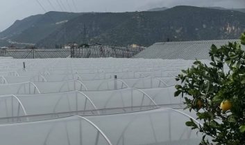 Antalya Demre’de hortum seraları vurdu