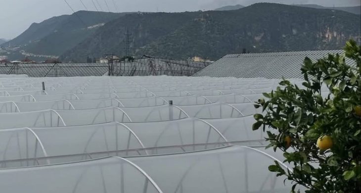 Antalya Demre’de hortum seraları vurdu