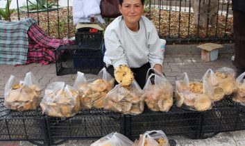 Kumluca’da sonbaharın bereketi: Kanlıca mantarları ekonomiye can veriyor