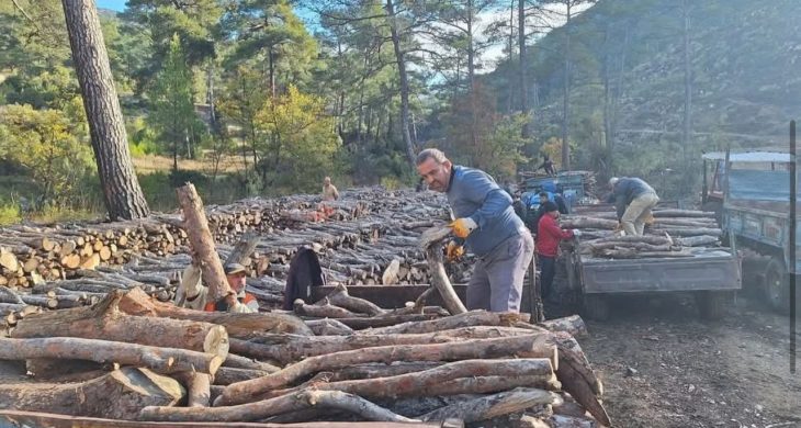 Sarıbelen’de yakacak odun dağıtımı tamamlandı