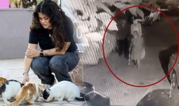 Antalya’da kediye bastonla saldırı iddiası