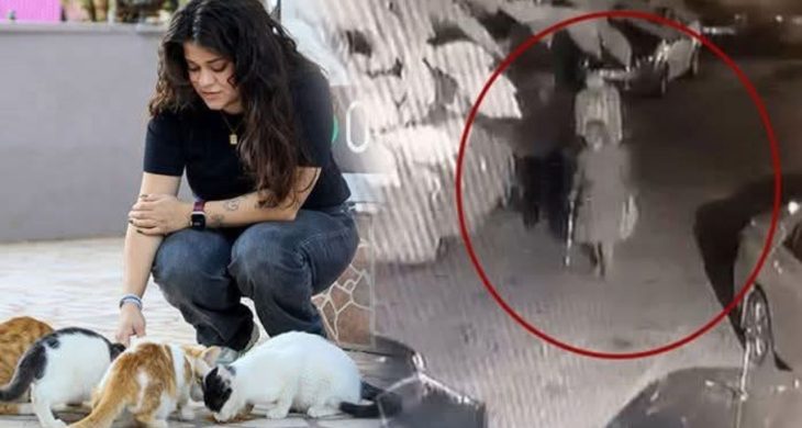 Antalya’da kediye bastonla saldırı iddiası