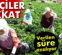 Çiftçiler dikkat!
