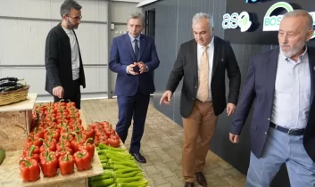 İhraç edilen biberler sınırdan döndü! Pestisit alarmı