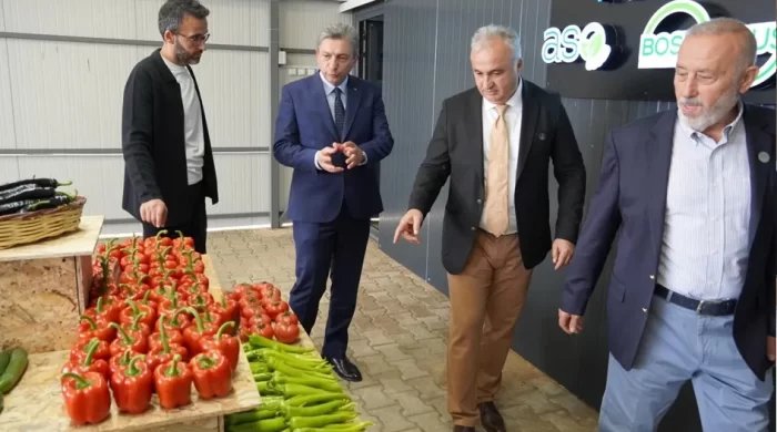 İhraç edilen biberler sınırdan döndü! Pestisit alarmı