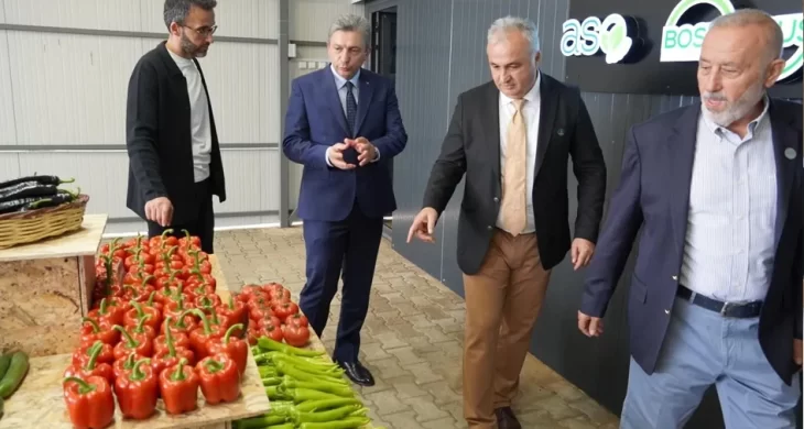 İhraç edilen biberler sınırdan döndü! Pestisit alarmı
