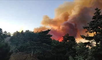Manisa’da palet fabrikasında yangın çıktı