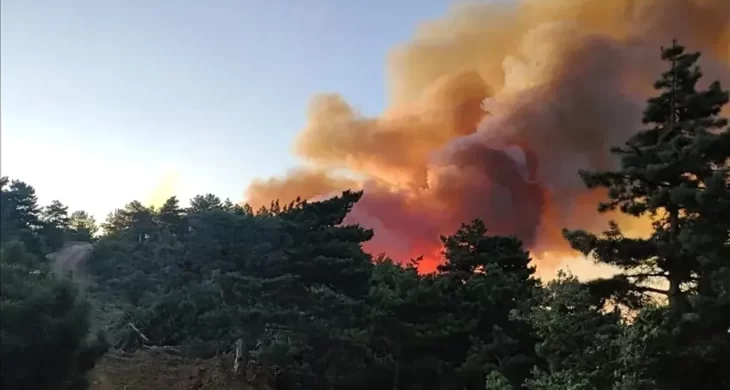 Manisa’da palet fabrikasında yangın çıktı