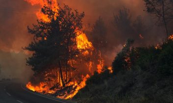 Seferihisar’da orman yangını: Müdahale havadan ve karadan sürüyor