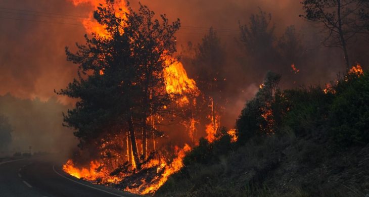 Seferihisar’da orman yangını: Müdahale havadan ve karadan sürüyor