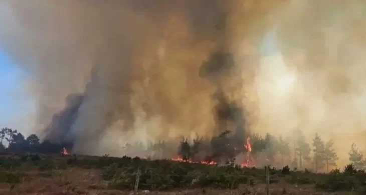 Kahramanmaraş’ta orman yangını: Ekipler seferber oldu